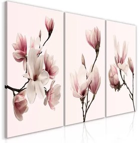 Obraz - Spring Magnolias (3 Parts) Veľkosť: 120x60, Verzia: Premium Print