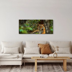 Obraz odpočívajúceho tigra (120x50 cm)