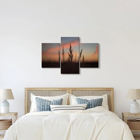 Obraz - Silueta rastliny (90x60 cm)