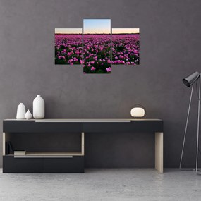 Obraz - Lúka fialových tulipánov (90x60 cm)