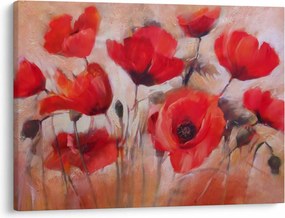 Obraz - Vlčie maky (70x50 cm)