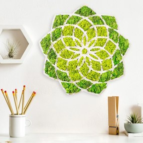 Nástenná MDF dekorácia Sedmokráska zelená