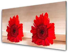 Nástenný panel  Kvety rastlina 120x60 cm