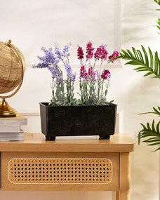 Truhlík s nožičkami Salvia 28,5x17 cm - výber z 8 prevedení