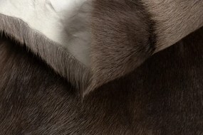 Koberec RENIFER POK010 hnedý