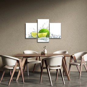 Obraz - Limetky (90x60 cm)