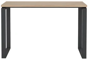 Pracovný stôl s doskou v dubovom dekore 60x120 cm Sign – Tvilum
