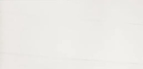 Dom Majestic Evo dlažba dolom.white 29,6x59,5 cm mat DMJ301R