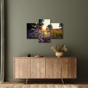 Obraz poľa levanduľou (90x60 cm)