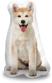 Sablio 3D vankúš Akita Inu