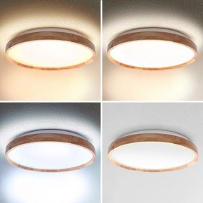 Brilagi - LED stlmiteľné stropné svietidlo ALSON LED/48W/230V 3000-6500K + DO