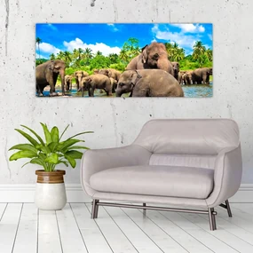 Obraz - Slony, Sri Lanka (120x50 cm)
