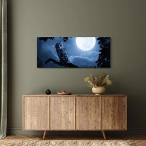 Obraz - Nočná sova (120x50 cm)