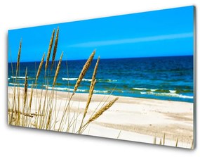 Obraz na akrylátovom skle Oceán pláž príroda 100x50 cm