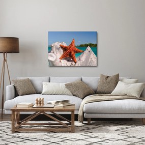 Obraz morskej hviezdice (70x50 cm)