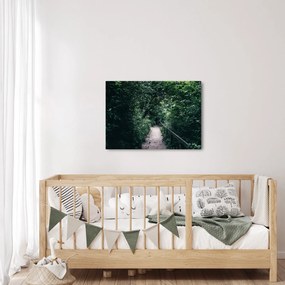 Obraz - Cesta lesom (70x50 cm)
