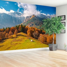 Fototapeta Vliesová Hory na jeseň 250x104 cm