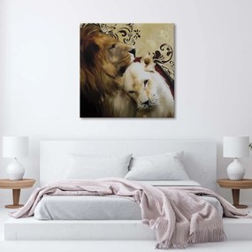 Obraz na plátně Lvi Zvířata Brown - 40x40 cm