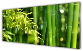 Obraz plexi Bambus listy rastlina 125x50 cm