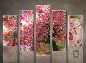 Afternoon at park / Tom Loris