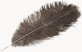Dekorácia Feather