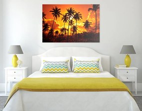 Obraz kokosové palmy na pláži