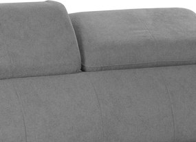 Dvojsedák Gisele, stredne šedá