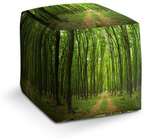 Sablio Taburet Cesta v lese: 40x40x40 cm