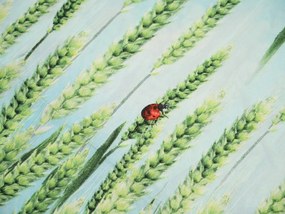 Obliečky z mikrovlákna POSANA zelené Rozmer obliečky: 2 ks 70 x 80 cm | 160 x 200 cm