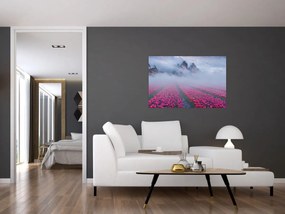 Obraz - Krajina s tulipánovými poľami (90x60 cm)