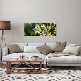 Obraz motýľa (120x50 cm)