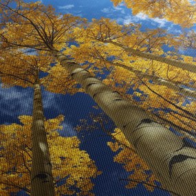 Obraz - Aspen (120x50 cm)