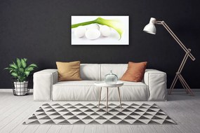 Obraz na plátne Vajíčka 100x50 cm