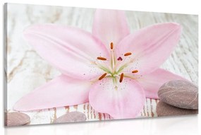 Obraz ružová ľalia a Zen kamene - 120x80