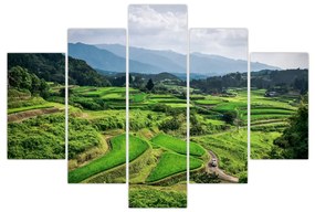 Obraz ryžových polí (150x105 cm)