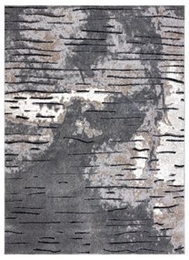 Moderný koberec COZY 8876 Rio, sivý