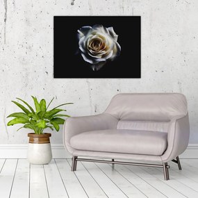 Sklenený obraz bielej ruže (70x50 cm)