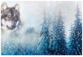 Samolepiaca tapeta vlk v zasneženej krajine