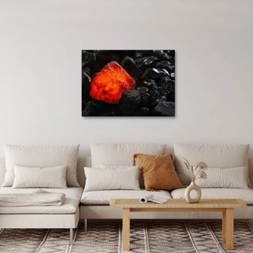 Obraz - Žeravý nerast (70x50 cm)