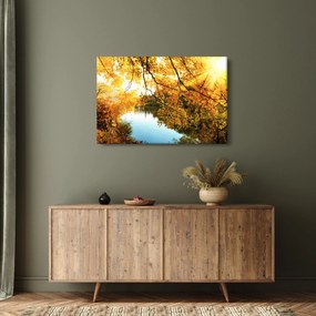 Obraz - Jesenný strom (90x60 cm)