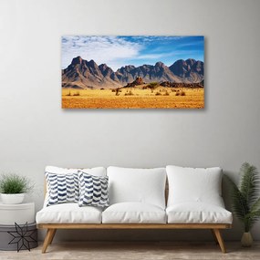 Obraz Canvas Púšť hory príroda 140x70 cm