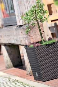 Plastový kvetináč DRTS200L 20 cm - hnedá
