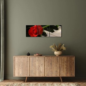 Obraz - Klavír a ruža (s hodinami) (90x30 cm)