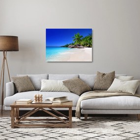 Sklenený obraz pláže na Praslin ostrove (70x50 cm)