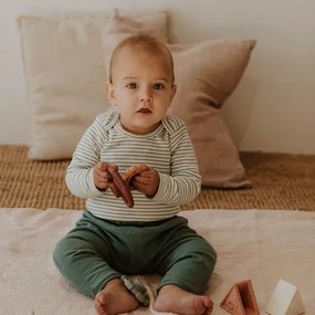 Skladacia pyramída s hryzadielkami, zemitá