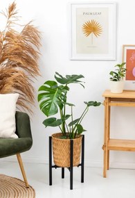 Stojan na kvety PILLAR čierny