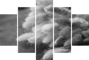 Obraz - bunny tail grass na stole (150x105 cm)