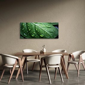 Obraz - Detail listu po daždi (120x50 cm)