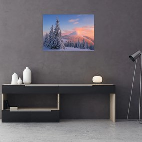 Obraz - Zimná krajina (70x50 cm)