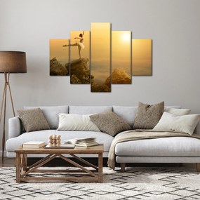 Obraz - Baletka na skale (150x105 cm)